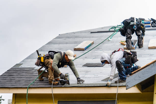 Professional Storm Damage Roof Repair technician working in Coupland, TX